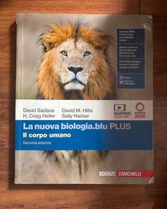 libro di testo