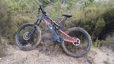 Emtb Olimpia X1P 