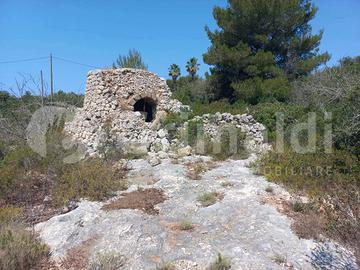 Terreno Agricolo Ugento [80lidomarini-presiccVRG]