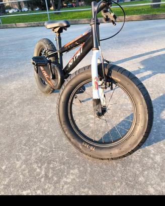 bicicletta  bambino fat bike