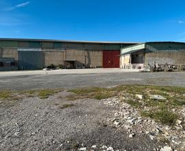 Capannone industriale