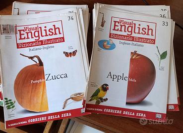 Visual English