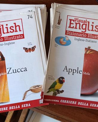 Visual English