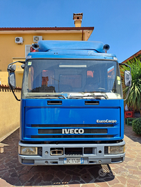 Camion centinato