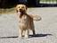 Immagine 13