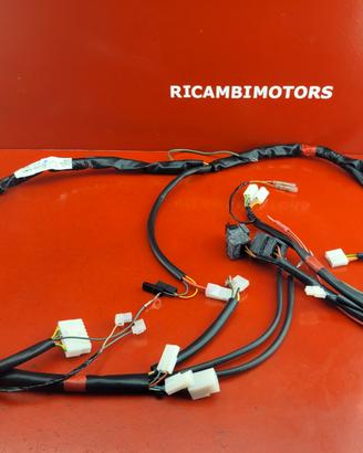 IMPIANTO ELETTRICO APRILIA SCARABEO 50 2T