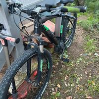 Bicicletta elettrica