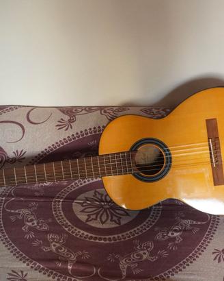 Chitarra Gewa VG500160 4/4 Student Natural + Borsa