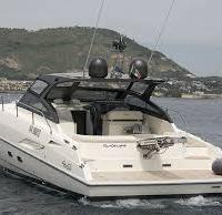 Fiart 44 Genius - 2010