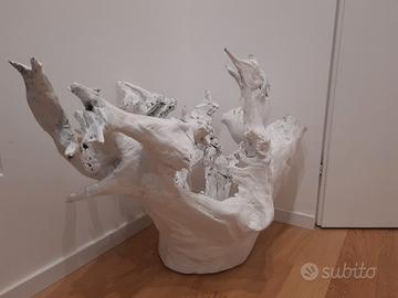 Radice di quercia, elemento di arredo da interno.