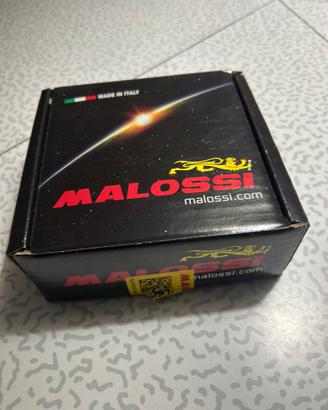 frizione flycluch malossi piaggio liberty 50cc