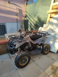 Quad e carretto funzionanti al 100%