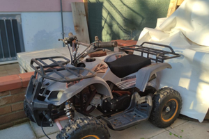 Quad e carretto funzionanti al 100%