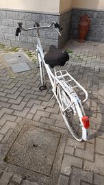 bottecchia da donna 24 ruota