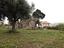 Immagine 8