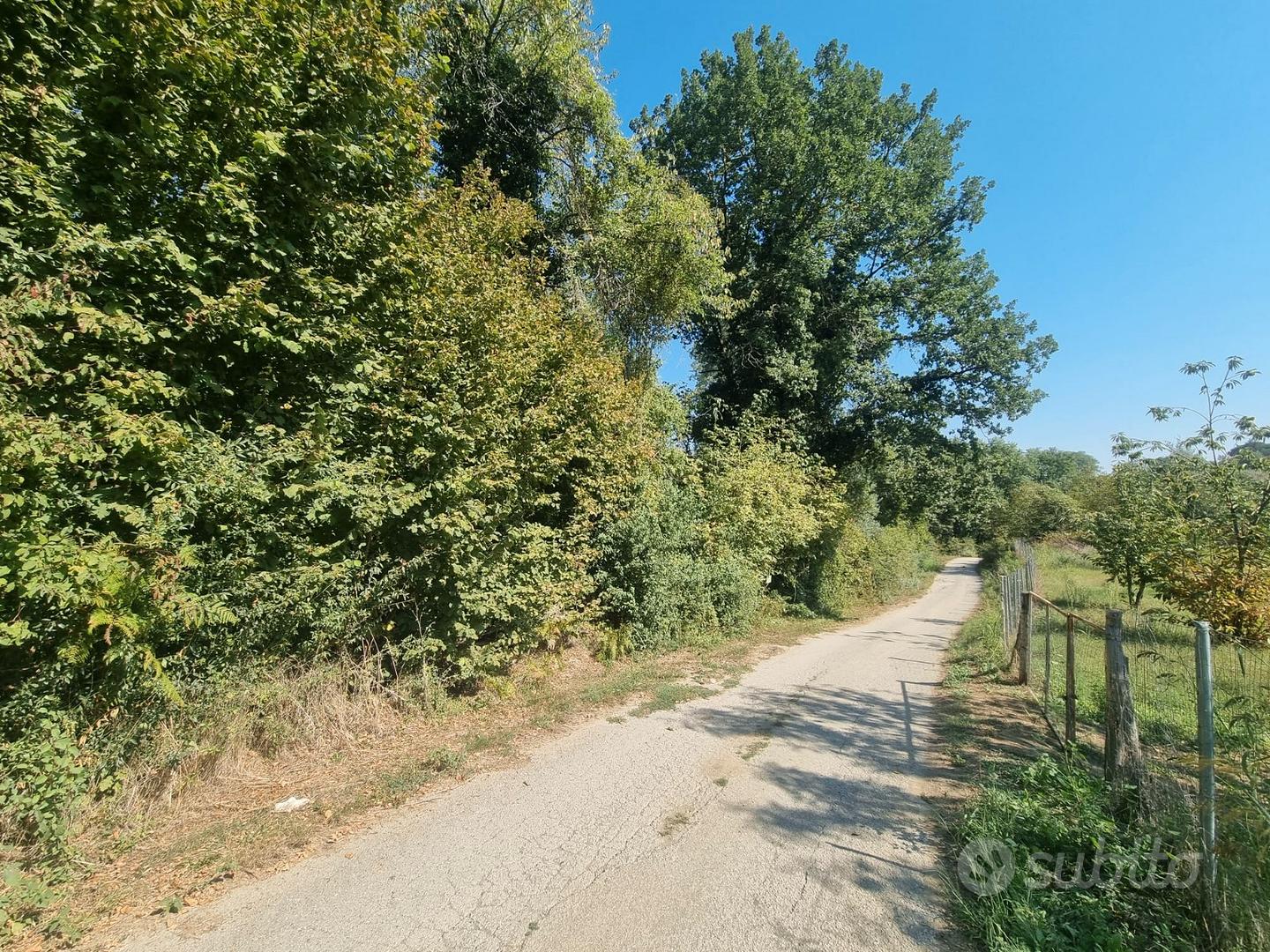 Terreno agricolo di mq. 11.143 semi pianeggiante - Vista 3