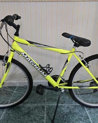 Mountain bike Magnum
