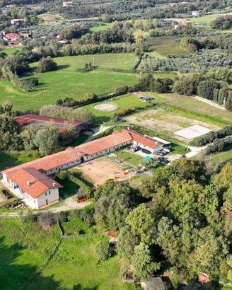 Attività / Licenza di 70000 m² con più di 5 locali