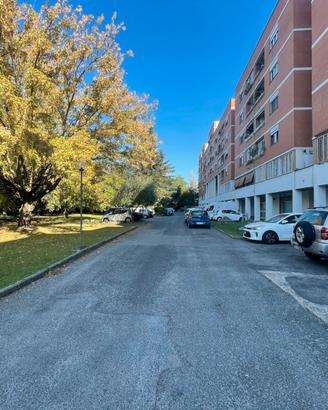Vigne nuove - INVESTIMENTO