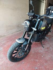 Benelli Leoncino 250 per Benelli Imperiale 400
