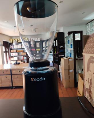 Macina caffè professionale usato