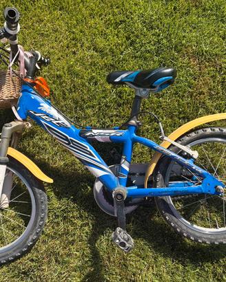 Bici bambino