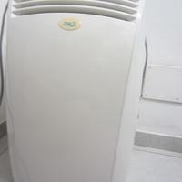 termoventilatore Pinguino