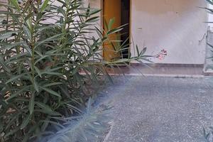 Villetta a 500 metri dal mare ai piedi del Gargano