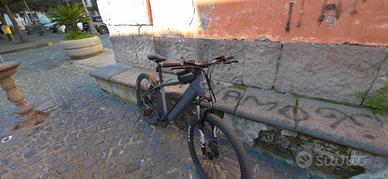 bicicletta elettrica a pedalata assistita 