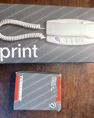 Sprint Citofono 334202 + Scheda Intercom Terraneo