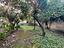 Immagine 13