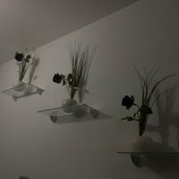 Composizioni e mensole