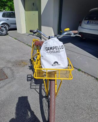 Bicicletta con pedalata assistita
