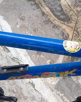 Bici bambino