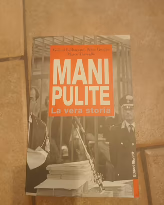 Mani pulite Libro 