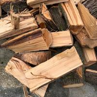 Legna da ardere quercia 5 pezzi