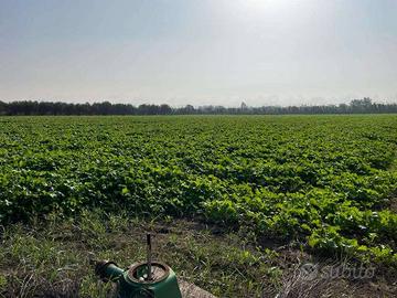 Terreno di 27000 m² a Mondragone