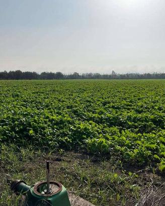 Terreno di 27000 m² a Mondragone
