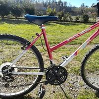 mountain bike  da donna tenuta bene.