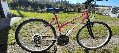 mountain bike  da donna tenuta bene.