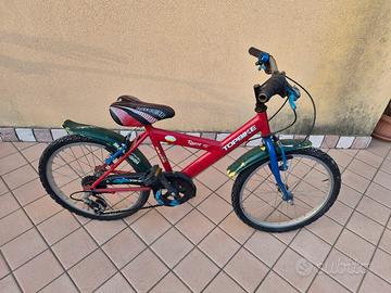 bicicletta Bambino 20 pollici  6-7 anni