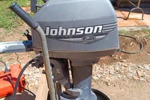 Motore fuoribordo Johnson 6 cv