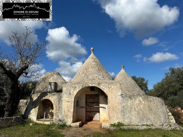 IL TRULLO PARLANTE con TERRENO 9200mq-OSTUNI