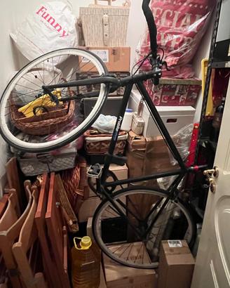 Bici urbana/sportiva