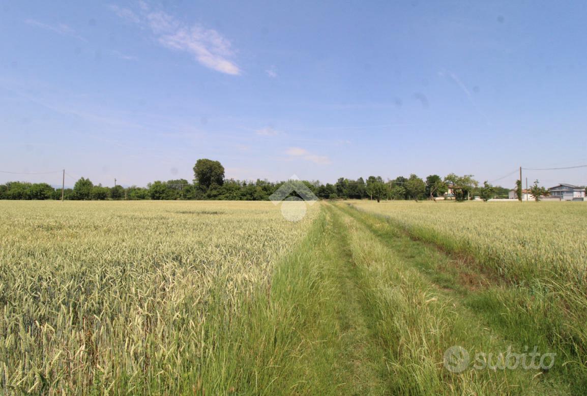 TER. AGRICOLO A URAGO D'OGLIO - Vista 5