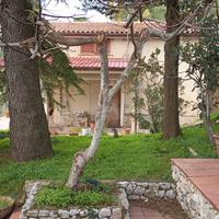 Villa Grazia - Una Dimora d'Eccellenza e Valori