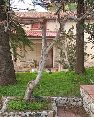 Villa Grazia - Una Dimora d'Eccellenza e Valori