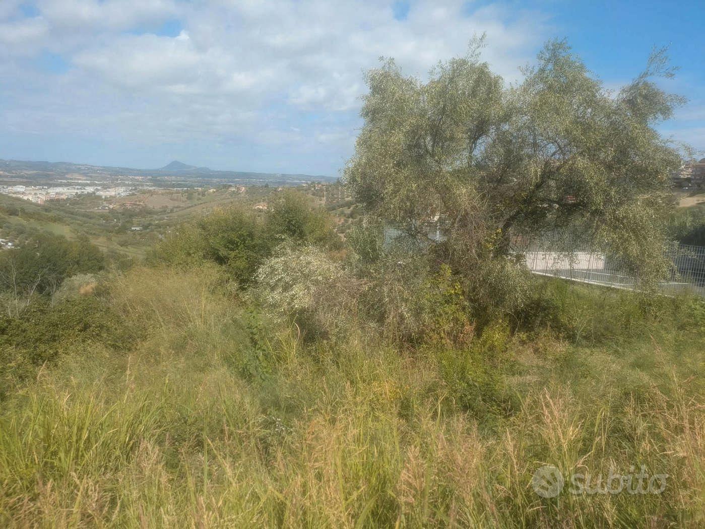 Terreno Agricolo Monterotondo - Vista 2