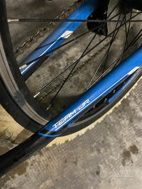 Bicicletta Bergamont per ragazzi