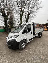 citroen Jumper Cassonato